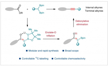 Nature Synthesis：宝石二芳基烷与羧酸酯偶联合成炔烃