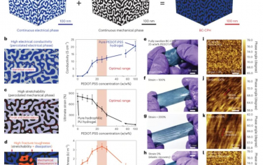 Nature Materials：适用于所有水凝胶生物电子界面的3D可打印高性能导电聚合物水凝胶