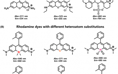 Chem. Soc. Rev：基于罗丹明衍生物的荧光染料用于生物成像和治疗
