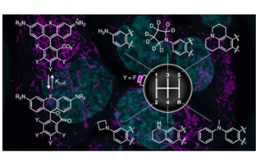 JACS：用于成像和传感的优化红色吸收染料