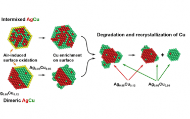 杨培东JACS：AgCu成分和结构对电催化CO2还原的影响