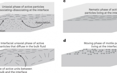 Nature Physics：三维活性流体中的二维长程单轴序