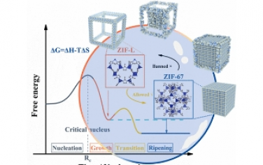 JACS：ZIF-67 纳米立方体向 ZIF-L 纳米框架的转变