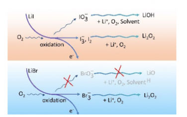 Angew：用于 Li-O2 电池的添加 LiI 的非质子电解质中溶剂去质子化的起源