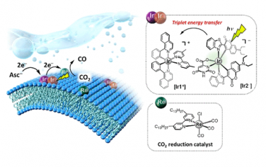 JACS：[Ir+][Ir-]光敏剂光催化还原CO2