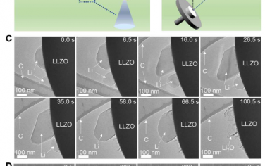 Science Advances：电子束充电导致的固体电解质中锂的生长动力学