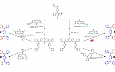 Advanced Materials：热激活延迟荧光发射体的大环工程化可制造高效有机发光二极管
