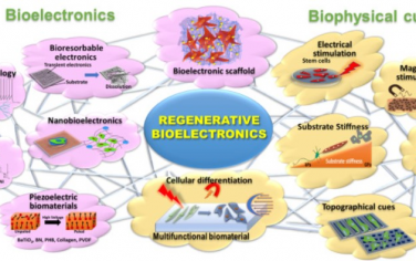 Biomaterials：再生生物电子学:精准医疗的战略路线图