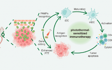 Nano Lett：利用益生菌实现CRISPR-Cas系统的深度穿透以用于光热增敏的肿瘤免疫治疗