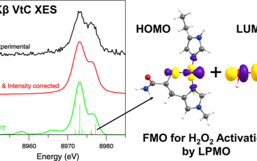 JACS：Cu(I)单加氧酶的电子结构及其活化H2O2