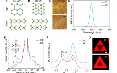 Science Advances：用于高性能原子级薄 CMOS 器件的菱形堆叠双层过渡金属二硫化物