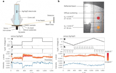 Nature Materials：有机混合离子-电子导体中的内部应变和介观动力学研究