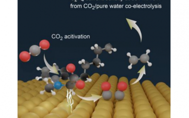 武汉大学Angew：苯并咪唑（Beim）阳离子改善电催化还原CO2制备C2+