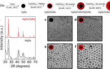 JACS：HgSe/ CdSe量子点可作为一类明亮的近红外二区荧光团