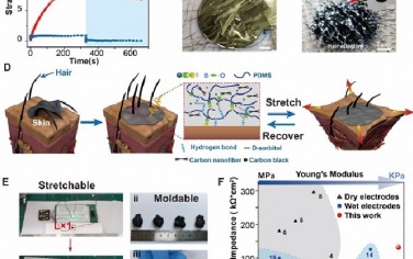 Advanced Materials：毛皮适应粘弹性干电极实现长期电生理监测
