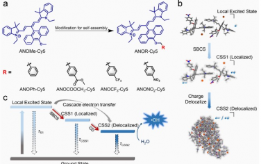 Advanced Materials：基于光诱导级联电子转移的近红外自组装羟基自由基发生器用于缺氧肿瘤光疗