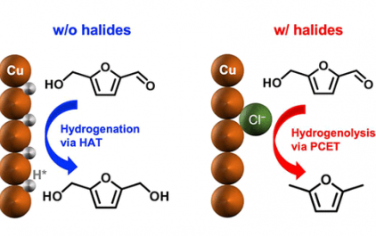 JACS：卤化物吸附通过抑制氢化来增强 5-羟甲基糠醛的电化学氢解